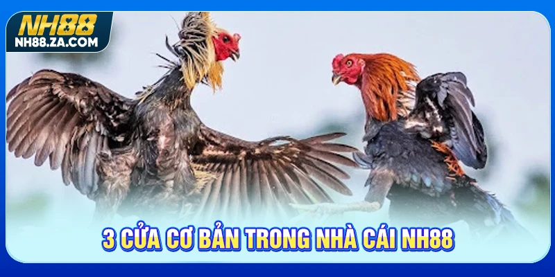 3 cửa cơ bản trong nhà cái NH88