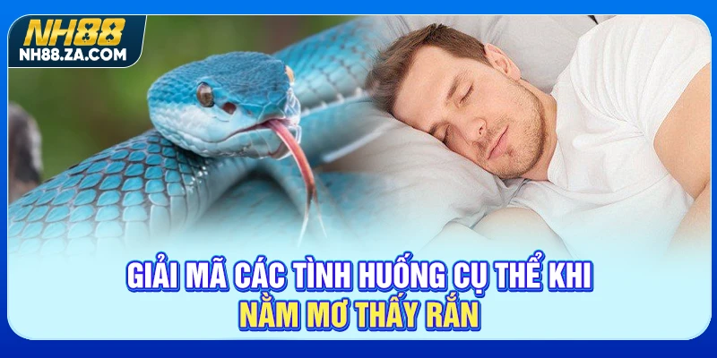 Giải mã các tình huống cụ thể khi nằm mơ thấy rắn