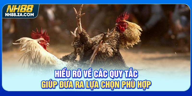 Hiểu rõ về các quy tắc giúp đưa ra lựa chọn phù hợp