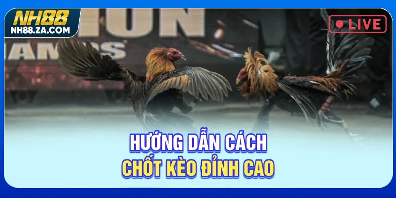 Hướng dẫn cách chốt kèo đỉnh cao