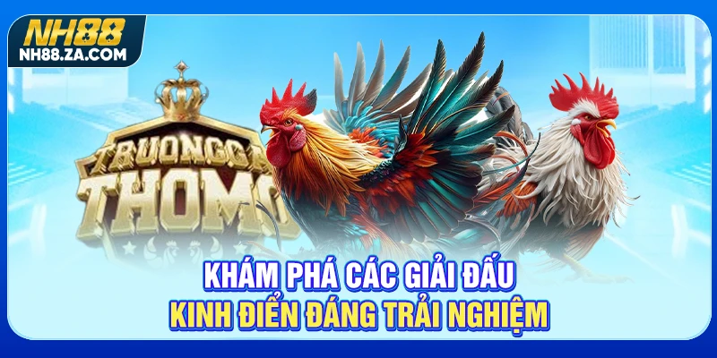 Khám phá các giải đấu kinh điển đáng trải nghiệm