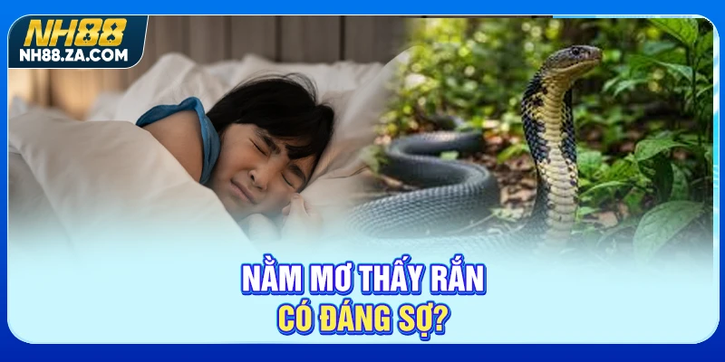 Nằm mơ thấy rắn có đáng sợ?