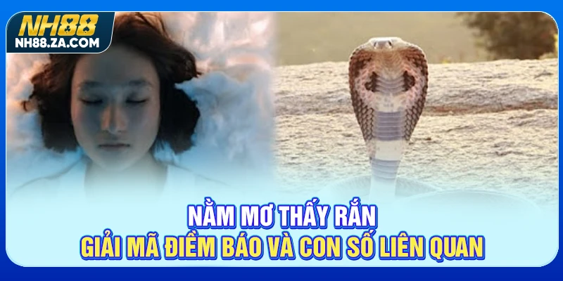 Nằm Mơ Thấy Rắn - Giải Mã Điềm Báo Và Con Số Liên Quan