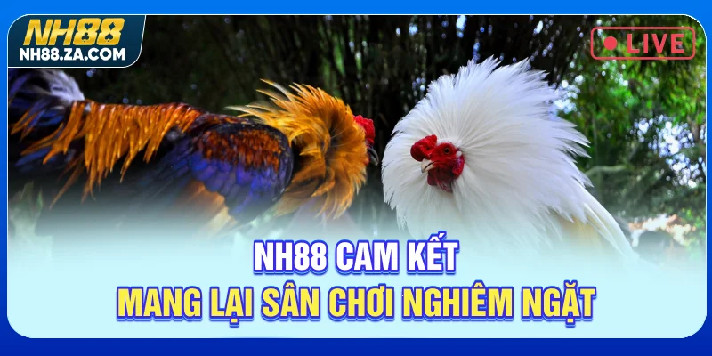 NH88 cam kết mang lại sân chơi nghiêm ngặt