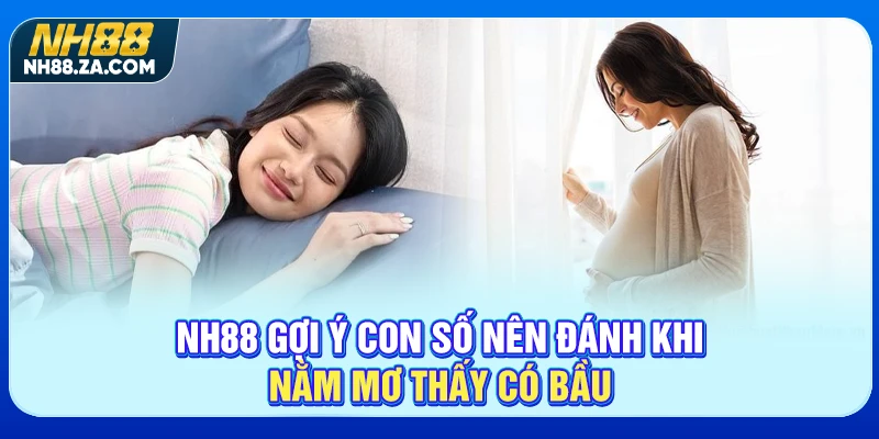 NH88 gợi ý con số nên đánh khi nằm mơ thấy có bầu