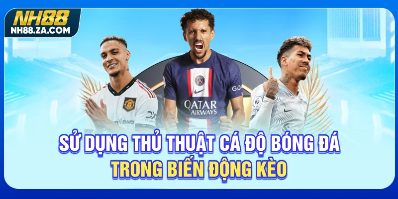 Sử dụng thủ thuật cá độ bóng đá trong biến động kèo