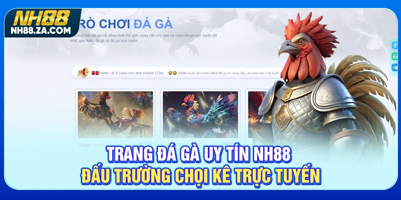 Trang Đá Gà Uy Tín NH88 - Đấu Trường Chọi Kê Trực Tuyến