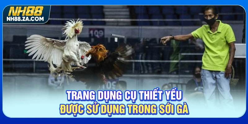 Trang dụng cụ thiết yếu được sử dụng trong sới gà